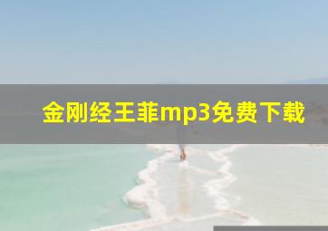 金刚经王菲mp3免费下载