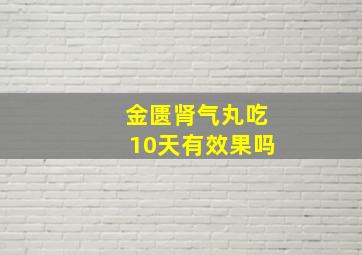 金匮肾气丸吃10天有效果吗