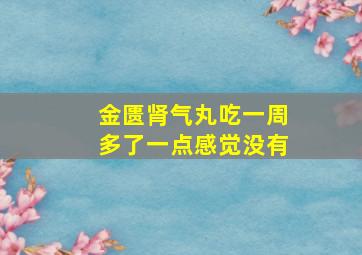 金匮肾气丸吃一周多了一点感觉没有