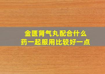 金匮肾气丸配合什么药一起服用比较好一点