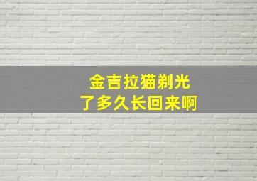 金吉拉猫剃光了多久长回来啊