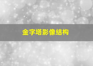 金字塔影像结构