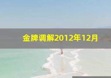 金牌调解2012年12月