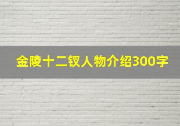 金陵十二钗人物介绍300字