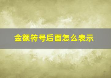 金额符号后面怎么表示