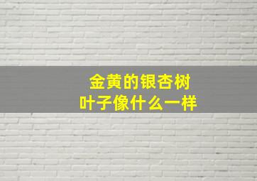 金黄的银杏树叶子像什么一样