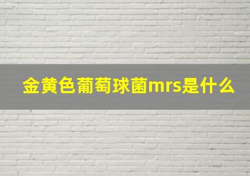 金黄色葡萄球菌mrs是什么