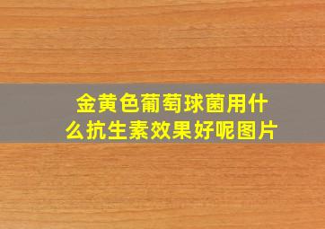 金黄色葡萄球菌用什么抗生素效果好呢图片