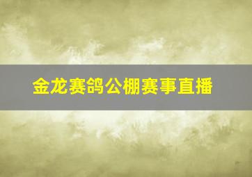 金龙赛鸽公棚赛事直播