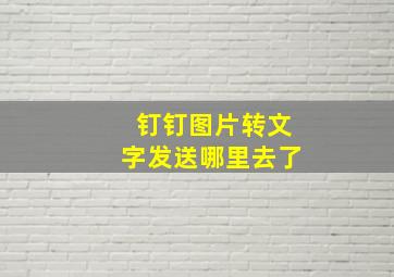 钉钉图片转文字发送哪里去了