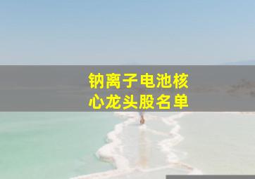 钠离子电池核心龙头股名单