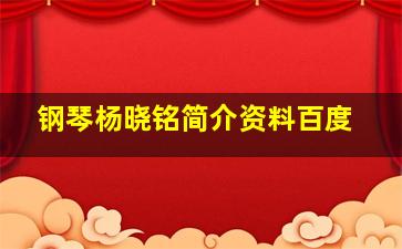 钢琴杨晓铭简介资料百度