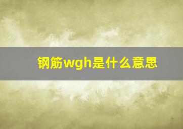 钢筋wgh是什么意思