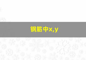 钢筋中x,y