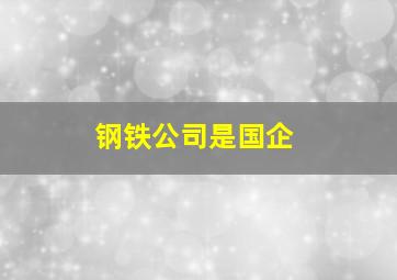 钢铁公司是国企