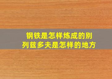 钢铁是怎样炼成的别列兹多夫是怎样的地方