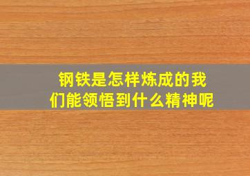 钢铁是怎样炼成的我们能领悟到什么精神呢