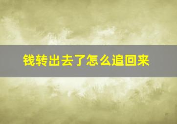 钱转出去了怎么追回来