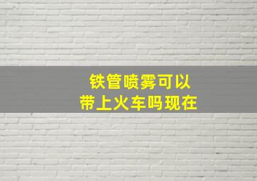 铁管喷雾可以带上火车吗现在