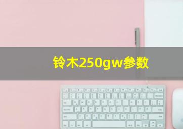 铃木250gw参数