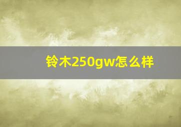 铃木250gw怎么样