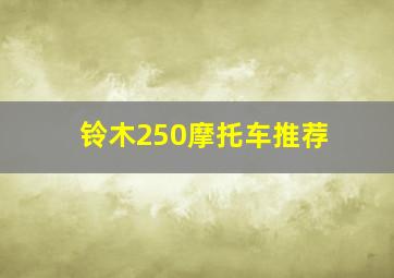 铃木250摩托车推荐