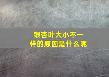 银杏叶大小不一样的原因是什么呢