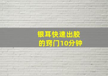 银耳快速出胶的窍门10分钟