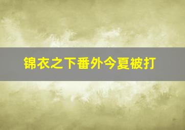 锦衣之下番外今夏被打