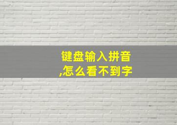 键盘输入拼音,怎么看不到字