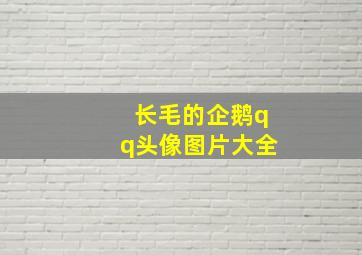 长毛的企鹅qq头像图片大全