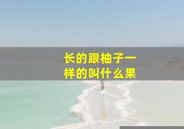 长的跟柚子一样的叫什么果