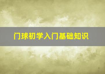 门球初学入门基础知识