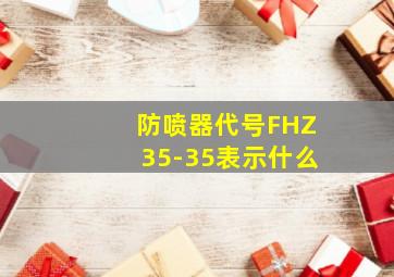 防喷器代号FHZ35-35表示什么