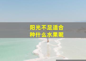 阳光不足适合种什么水果呢