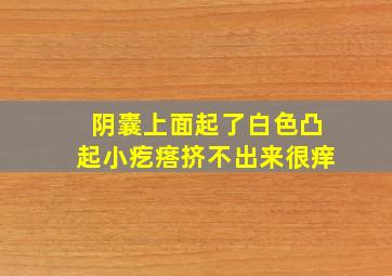 阴囊上面起了白色凸起小疙瘩挤不出来很痒