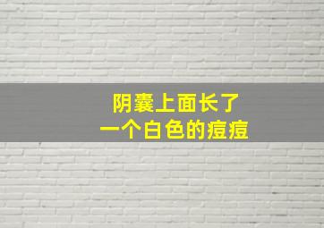 阴囊上面长了一个白色的痘痘