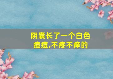 阴囊长了一个白色痘痘,不疼不痒的