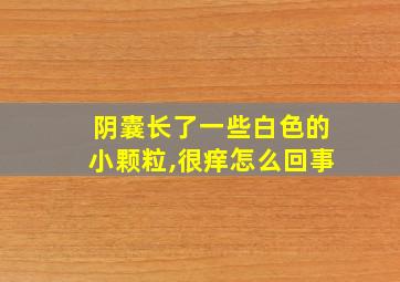 阴囊长了一些白色的小颗粒,很痒怎么回事