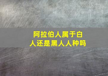 阿拉伯人属于白人还是黑人人种吗