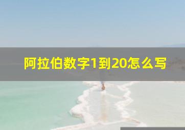 阿拉伯数字1到20怎么写