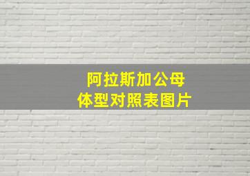 阿拉斯加公母体型对照表图片