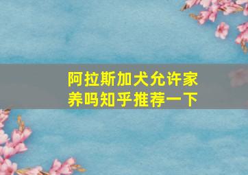 阿拉斯加犬允许家养吗知乎推荐一下