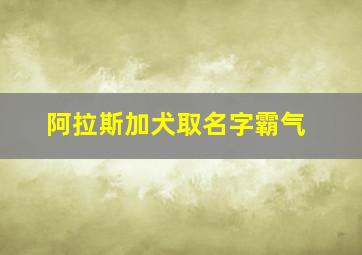 阿拉斯加犬取名字霸气