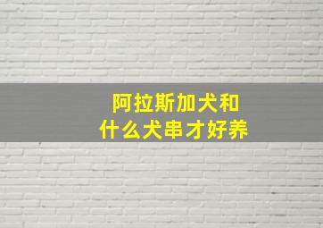 阿拉斯加犬和什么犬串才好养