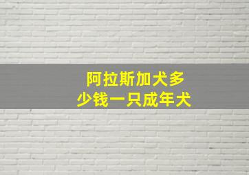 阿拉斯加犬多少钱一只成年犬