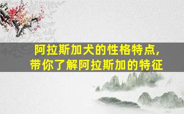 阿拉斯加犬的性格特点,带你了解阿拉斯加的特征