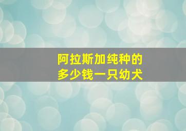 阿拉斯加纯种的多少钱一只幼犬