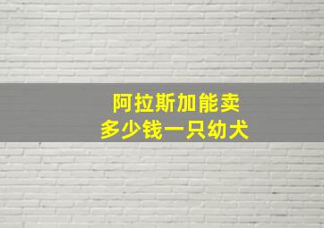 阿拉斯加能卖多少钱一只幼犬