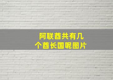 阿联酋共有几个酋长国呢图片